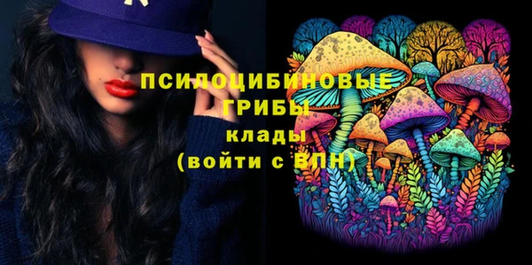 мдпв Горно-Алтайск