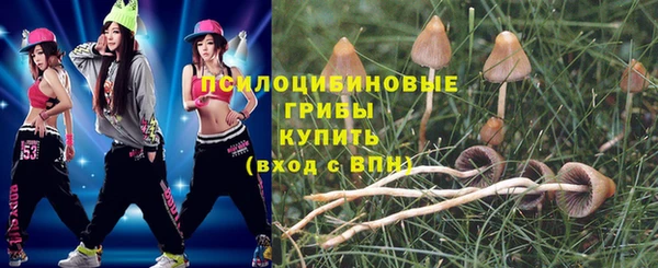 наркотики Горняк