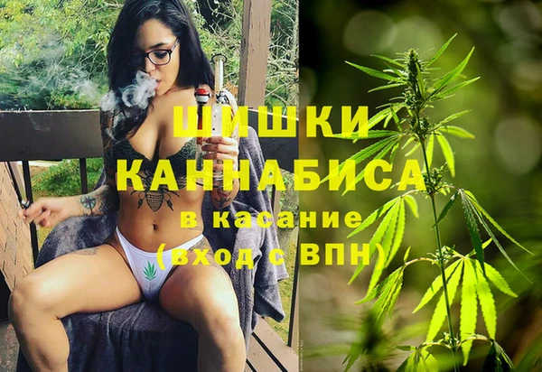 мдпв Горно-Алтайск