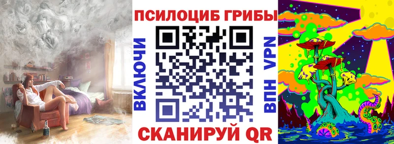 мега маркетплейс  Данков  Галлюциногенные грибы Psilocybine cubensis 